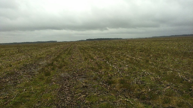 des Rives de Saint Brice - RETOUR DU NORD