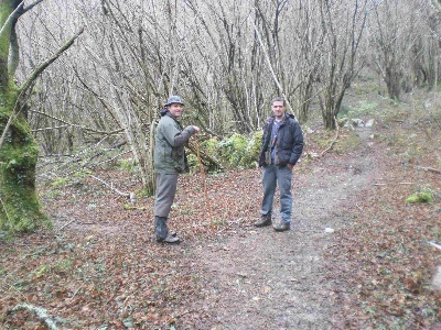 des Rives de Saint Brice - Sortie à la bécasse dans les Pyrénées