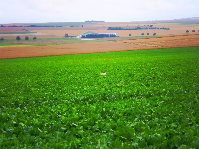 des Rives de Saint Brice - Entrainement à Maison en Champagne