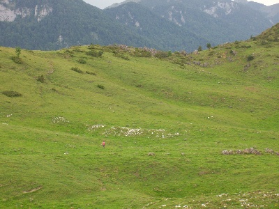 des Rives de Saint Brice - Week end à la montagne