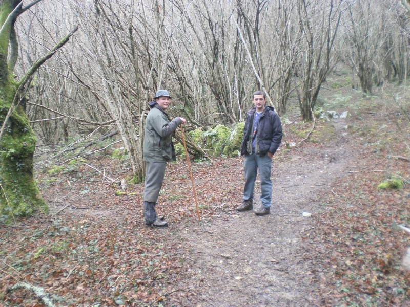 Chasse à la bécasse à la montagne 