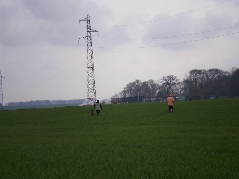 printemps 2012