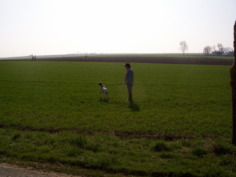PRINTEMPS 2011